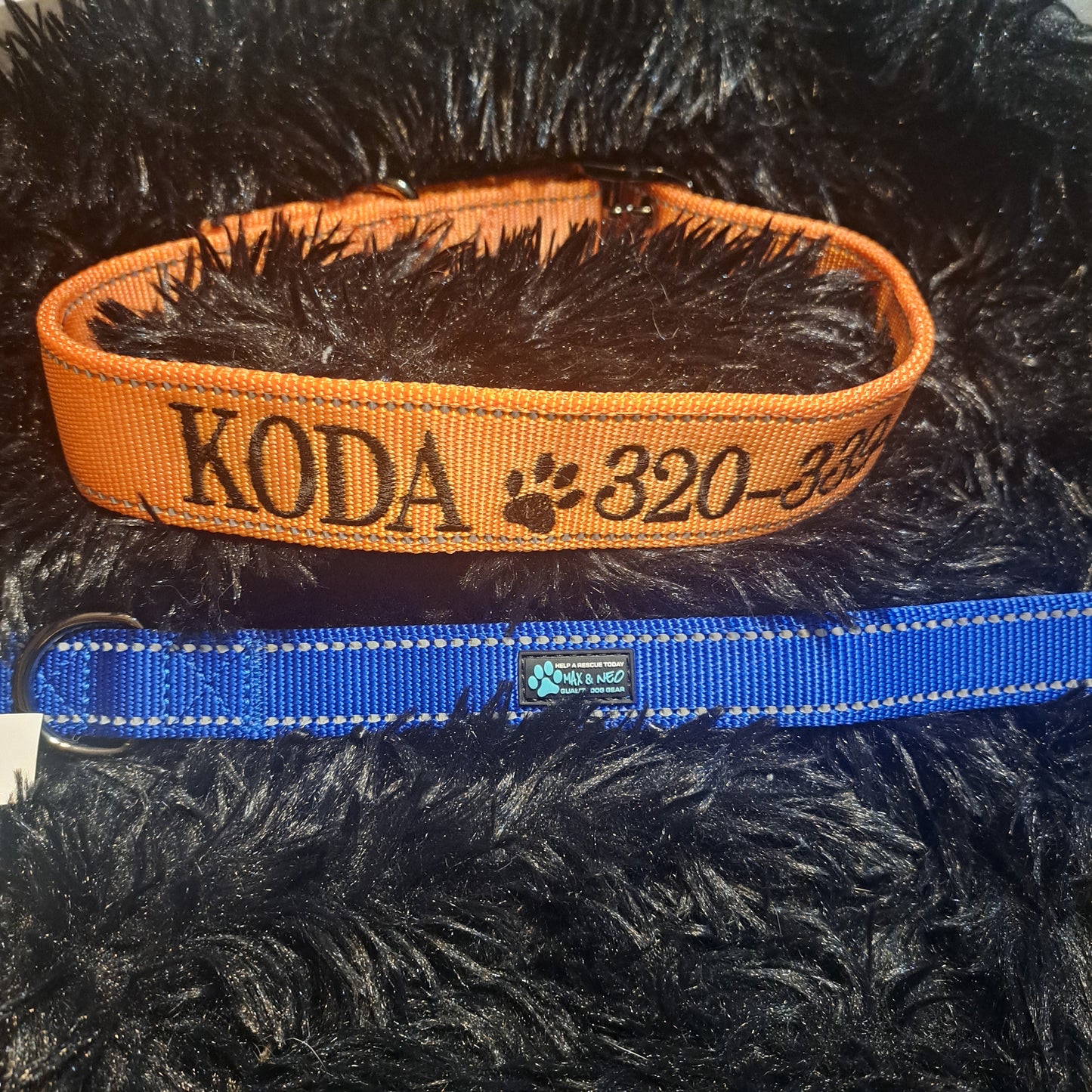 Personalized Heavy Duty Dog Collar
