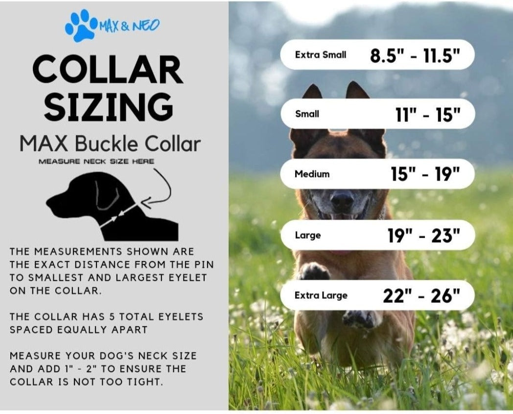 Personalized Heavy Duty Dog Collar