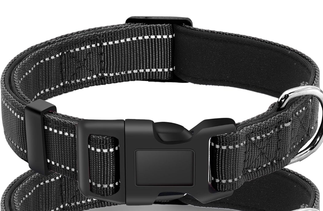 Custom Embroidered Dog collar