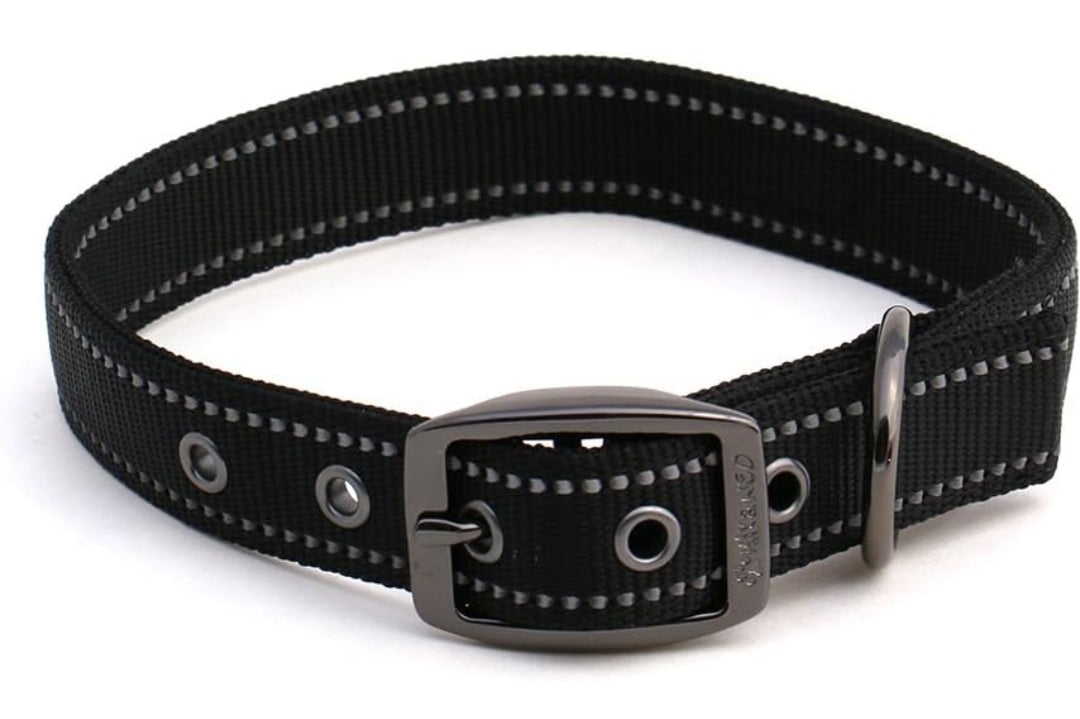 Personalized Heavy Duty Dog Collar