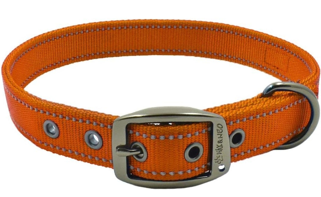 Personalized Heavy Duty Dog Collar