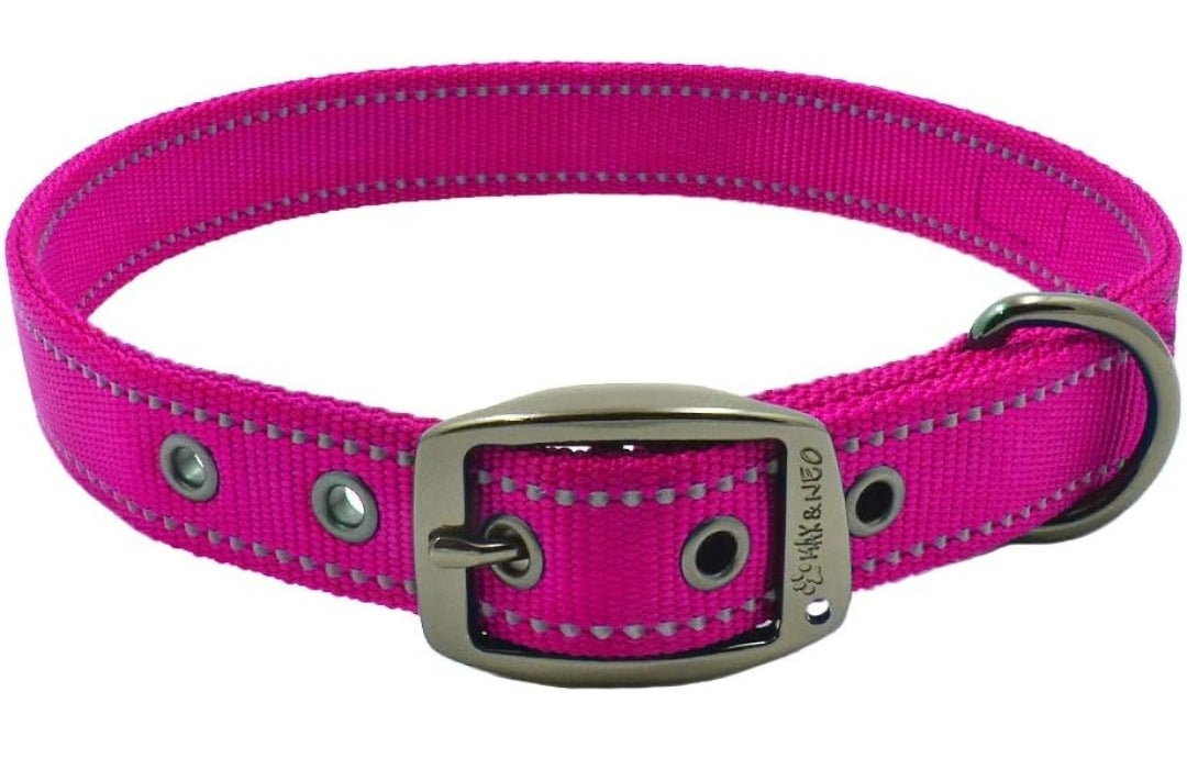 Personalized Heavy Duty Dog Collar