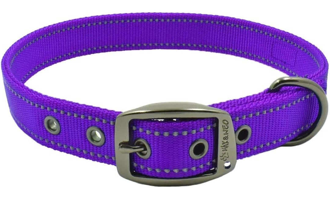 Personalized Heavy Duty Dog Collar