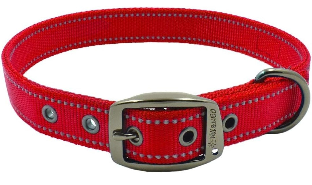 Personalized Heavy Duty Dog Collar