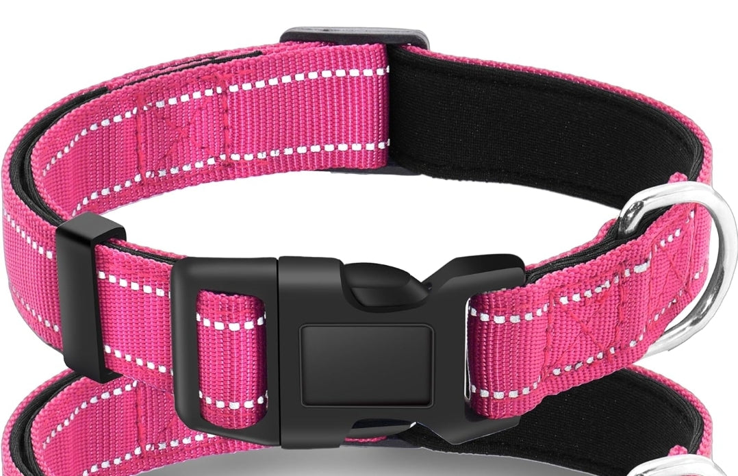 Custom Embroidered Dog collar