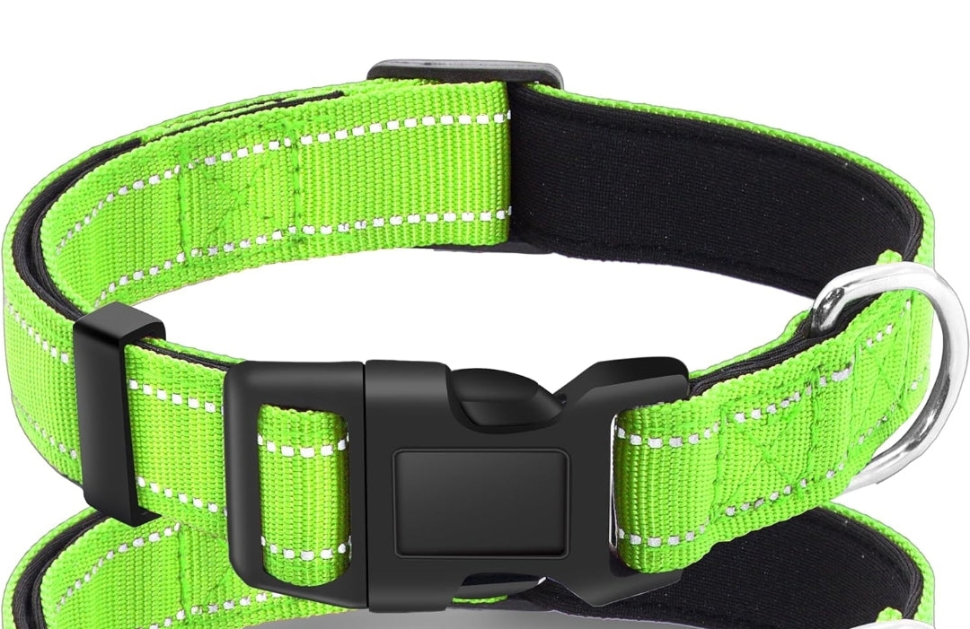 Custom Embroidered Dog collar