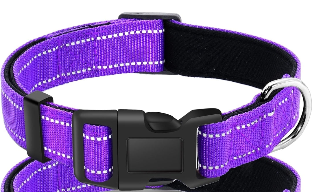 Custom Embroidered Dog collar