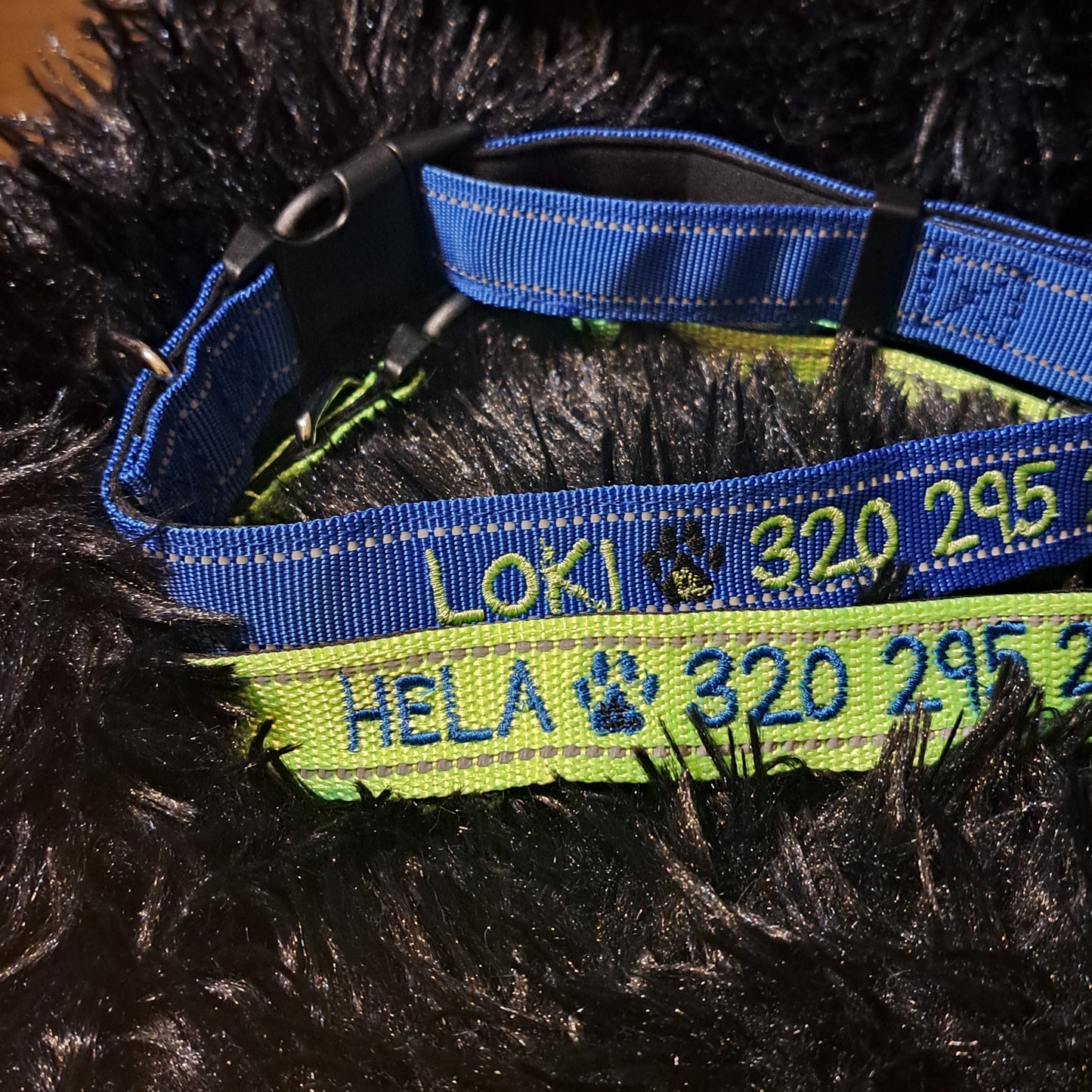 Custom Embroidered Dog collar