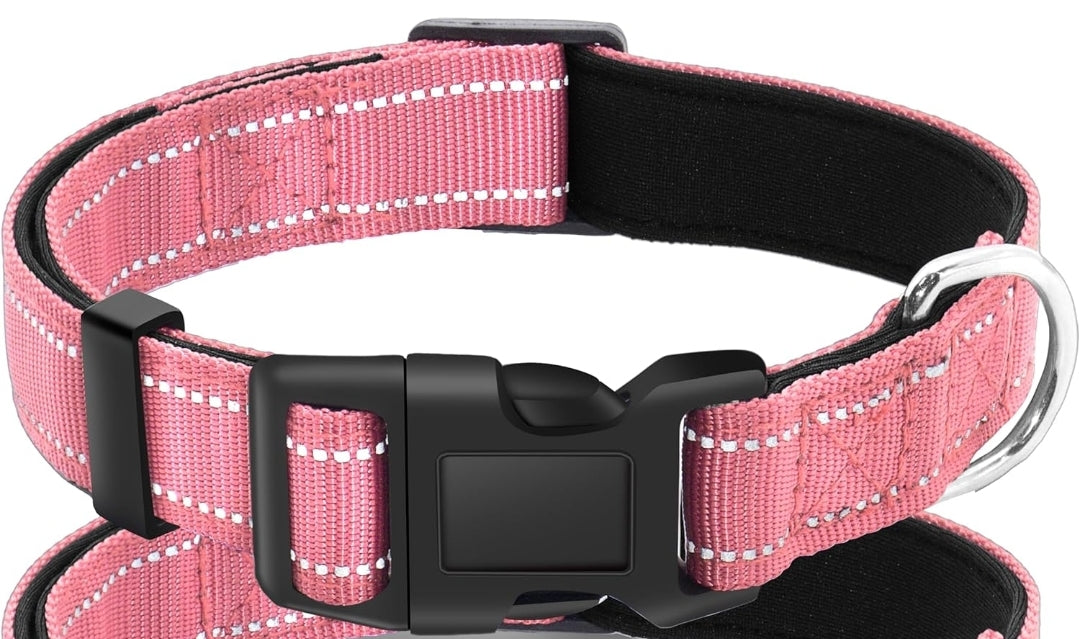 Custom Embroidered Dog collar