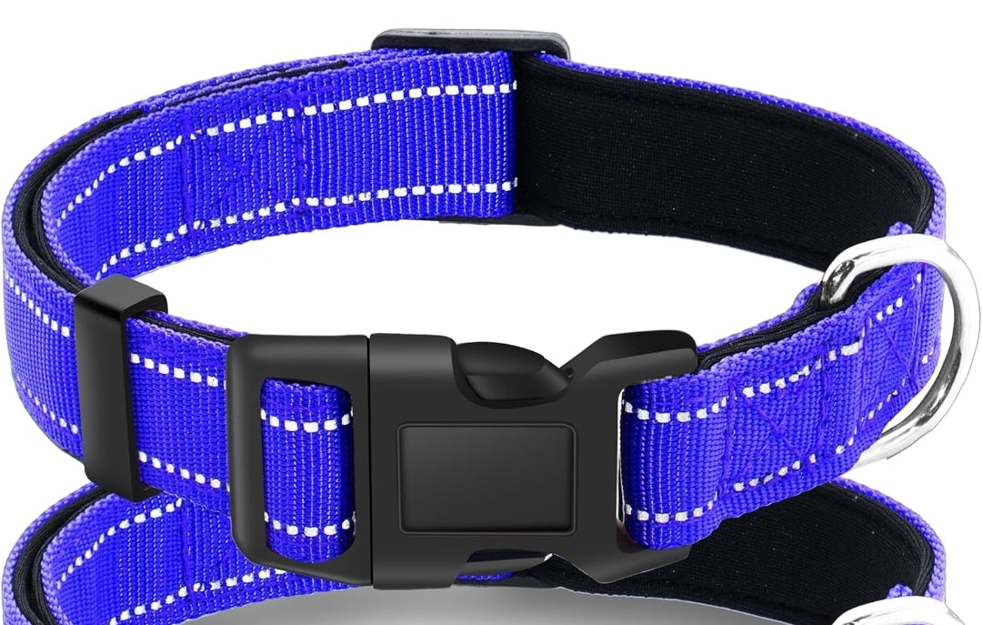 Custom Embroidered Dog collar