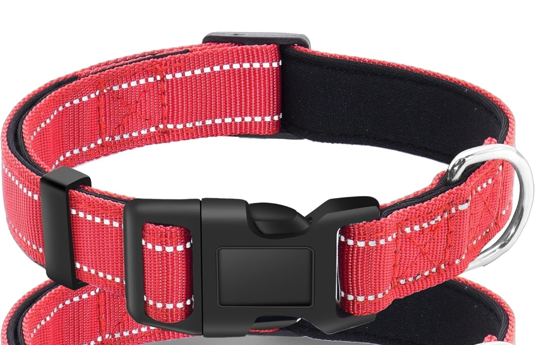 Custom Embroidered Dog collar